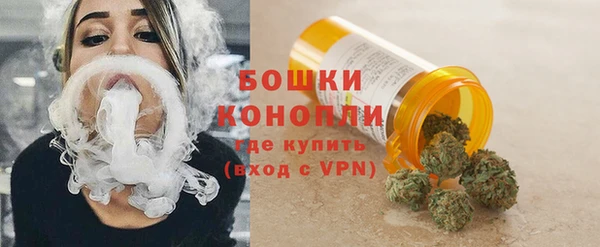 мдпв Осинники