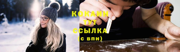мдпв Осинники