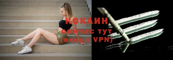 дурь Осташков