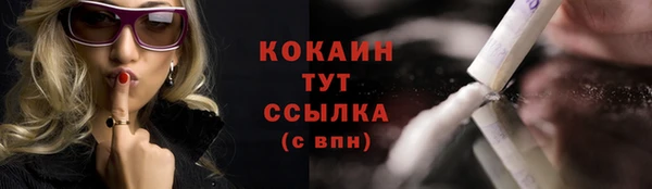 мдпв Осинники