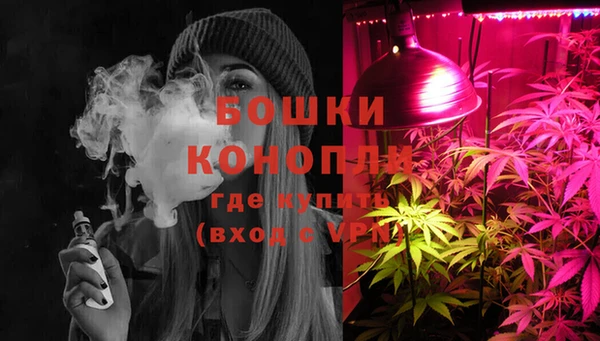 дурь Осташков