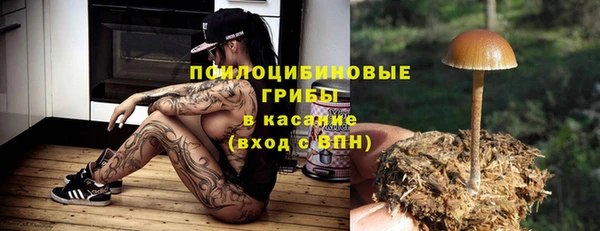 мдпв Осинники