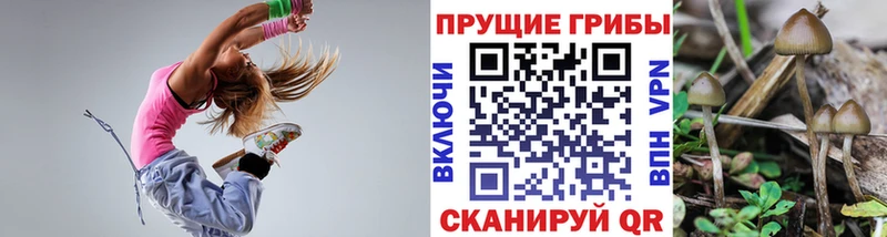Псилоцибиновые грибы ЛСД Аткарск